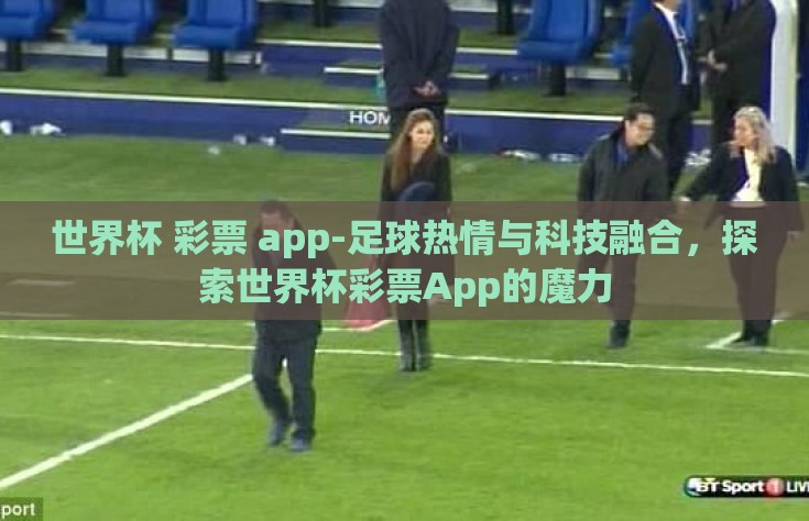 世界杯 彩票 app-足球热情与科技融合，探索世界杯彩票App的魔力