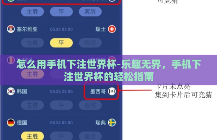 怎么用手机下注世界杯-乐趣无界，手机下注世界杯的轻松指南