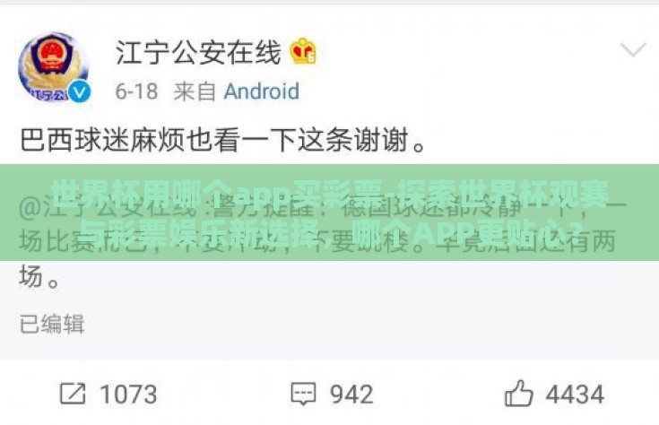 世界杯用哪个app买彩票-探索世界杯观赛与彩票娱乐新选择，哪个APP更贴心？