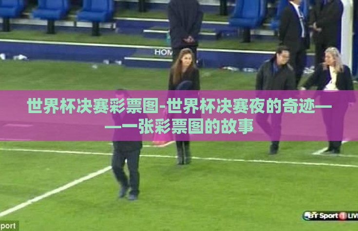 世界杯决赛彩票图-世界杯决赛夜的奇迹——一张彩票图的故事