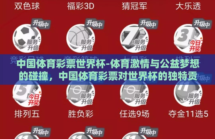 中国体育彩票世界杯-体育激情与公益梦想的碰撞，中国体育彩票对世界杯的独特贡献