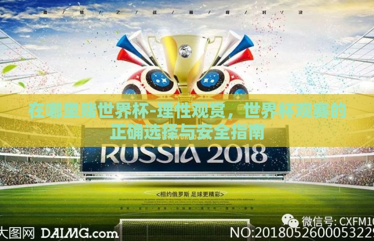 在哪里赌世界杯-理性观赏，世界杯观赛的正确选择与安全指南