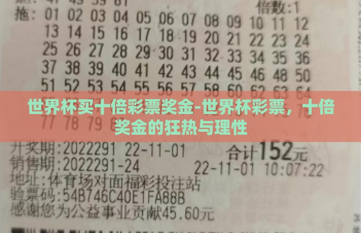世界杯买十倍彩票奖金-世界杯彩票，十倍奖金的狂热与理性