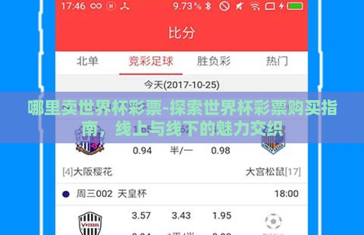 哪里卖世界杯彩票-探索世界杯彩票购买指南，线上与线下的魅力交织