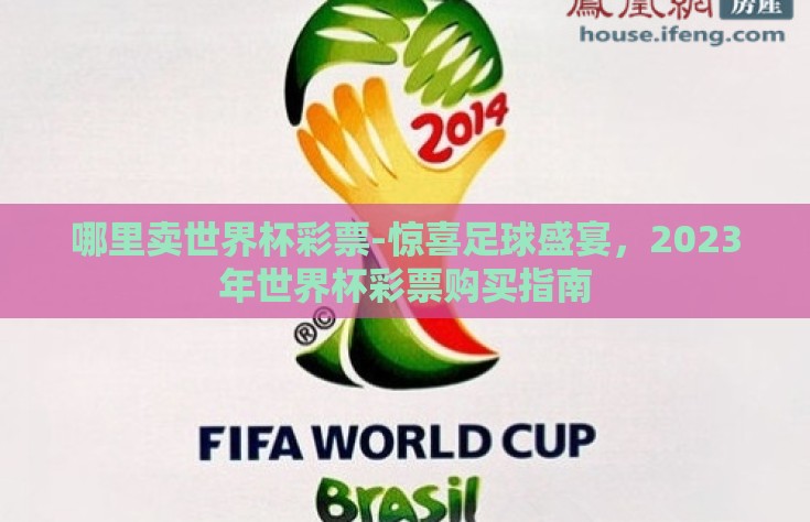 哪里卖世界杯彩票-惊喜足球盛宴，2023年世界杯彩票购买指南