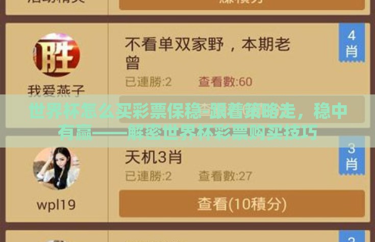 世界杯怎么买彩票保稳-跟着策略走，稳中有赢——解密世界杯彩票购买技巧