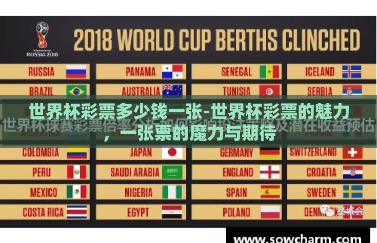 世界杯彩票多少钱一张-世界杯彩票的魅力，一张票的魔力与期待