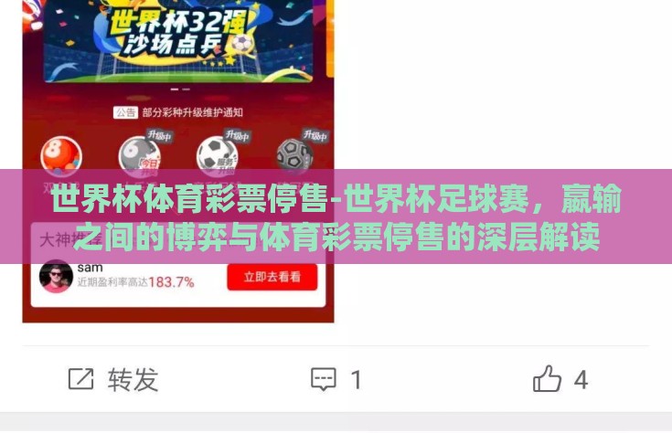世界杯体育彩票停售-世界杯足球赛，嬴输之间的博弈与体育彩票停售的深层解读