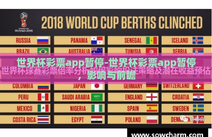 世界杯彩票app暂停-世界杯彩票app暂停，影响与前瞻