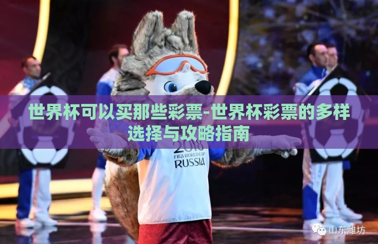 世界杯可以买那些彩票-世界杯彩票的多样选择与攻略指南