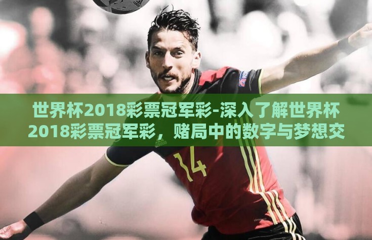世界杯2018彩票冠军彩-深入了解世界杯2018彩票冠军彩，赌局中的数字与梦想交织
