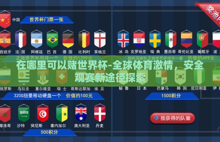 在哪里可以赌世界杯-全球体育激情，安全观赛新途径探索