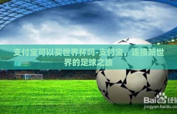 支付宝可以买世界杯吗-支付宝，连接新世界的足球之旅