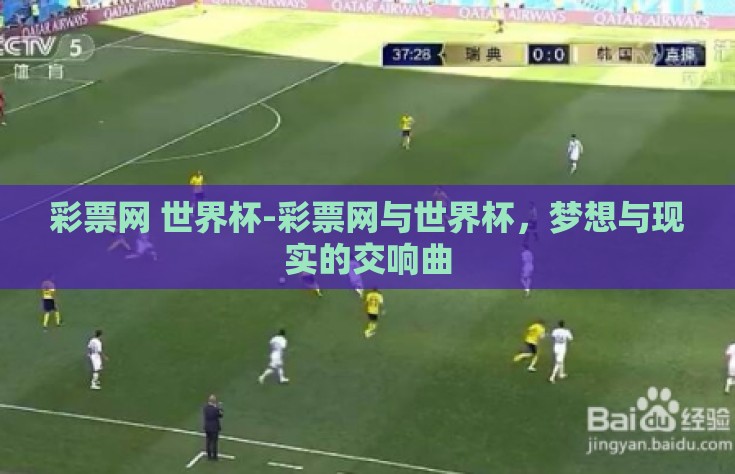 彩票网 世界杯-彩票网与世界杯，梦想与现实的交响曲