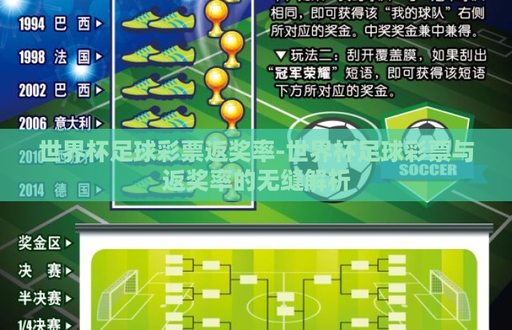 世界杯足球彩票返奖率-世界杯足球彩票与返奖率的无缝解析