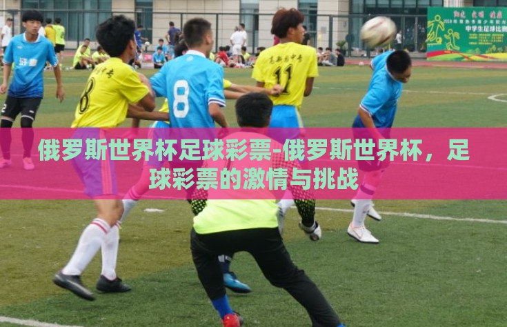 俄罗斯世界杯足球彩票-俄罗斯世界杯，足球彩票的激情与挑战