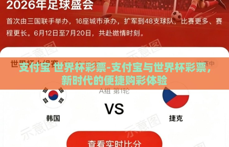 支付宝 世界杯彩票-支付宝与世界杯彩票，新时代的便捷购彩体验