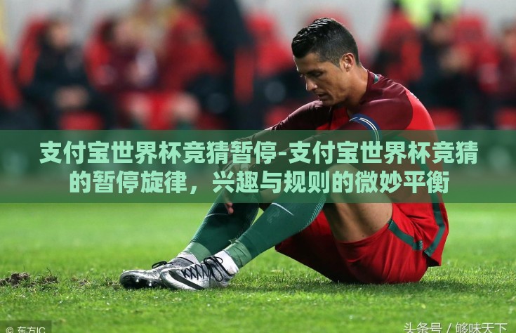 支付宝世界杯竞猜暂停-支付宝世界杯竞猜的暂停旋律，兴趣与规则的微妙平衡