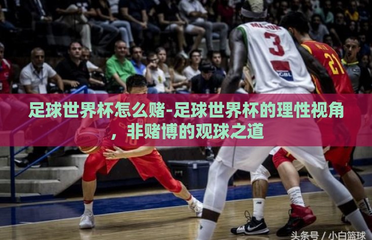足球世界杯怎么赌-足球世界杯的理性视角，非赌博的观球之道