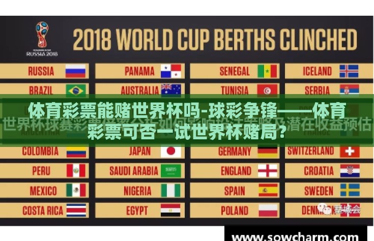 体育彩票能赌世界杯吗-球彩争锋——体育彩票可否一试世界杯赌局？