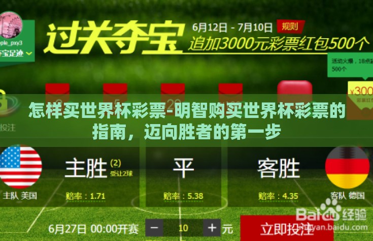 怎样买世界杯彩票-明智购买世界杯彩票的指南，迈向胜者的第一步