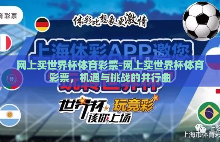 网上买世界杯体育彩票-网上买世界杯体育彩票，机遇与挑战的并行曲