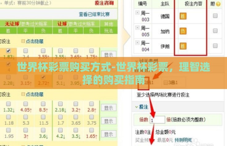 世界杯彩票购买方式-世界杯彩票，理智选择的购买指南