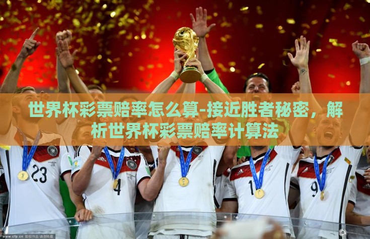 世界杯彩票赔率怎么算-接近胜者秘密，解析世界杯彩票赔率计算法