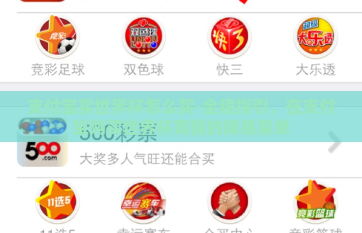 支付宝买世界杯怎么买-全程指引，在支付宝购买世界杯竞猜的简易菜单