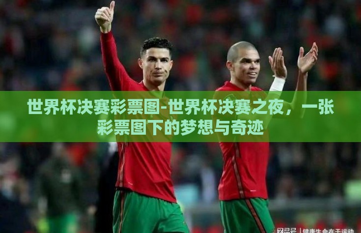 世界杯决赛彩票图-世界杯决赛之夜，一张彩票图下的梦想与奇迹