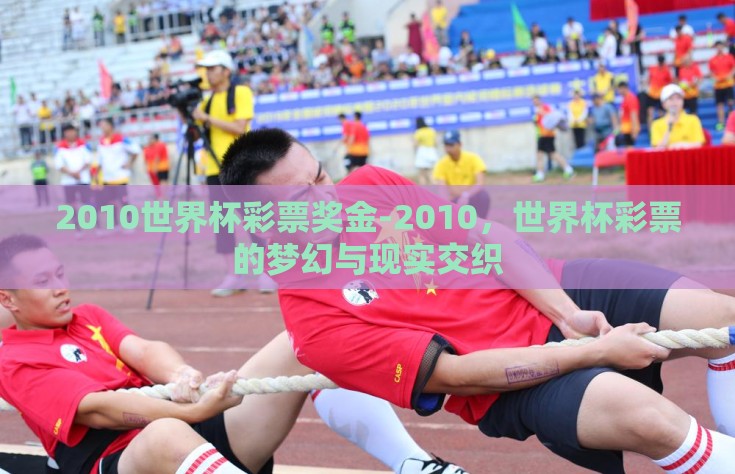 2010世界杯彩票奖金-2010，世界杯彩票的梦幻与现实交织