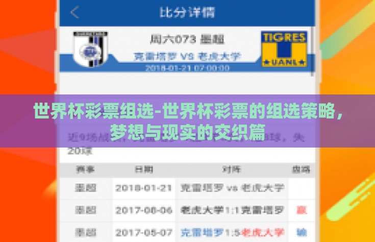 世界杯彩票组选-世界杯彩票的组选策略，梦想与现实的交织篇