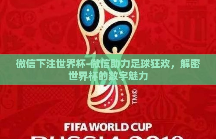 微信下注世界杯-微信助力足球狂欢，解密世界杯的数字魅力