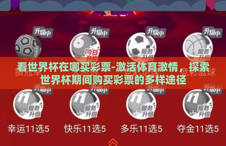 看世界杯在哪买彩票-激活体育激情，探索世界杯期间购买彩票的多样途径
