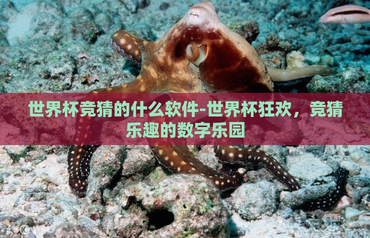 世界杯竞猜的什么软件-世界杯狂欢，竞猜乐趣的数字乐园