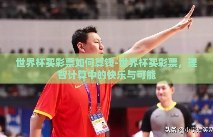 世界杯买彩票如何算钱-世界杯买彩票，理智计算中的快乐与可能
