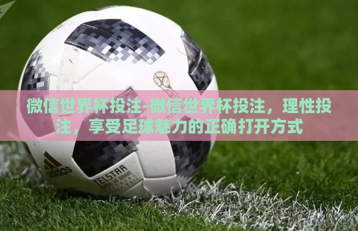 微信世界杯投注-微信世界杯投注，理性投注，享受足球魅力的正确打开方式