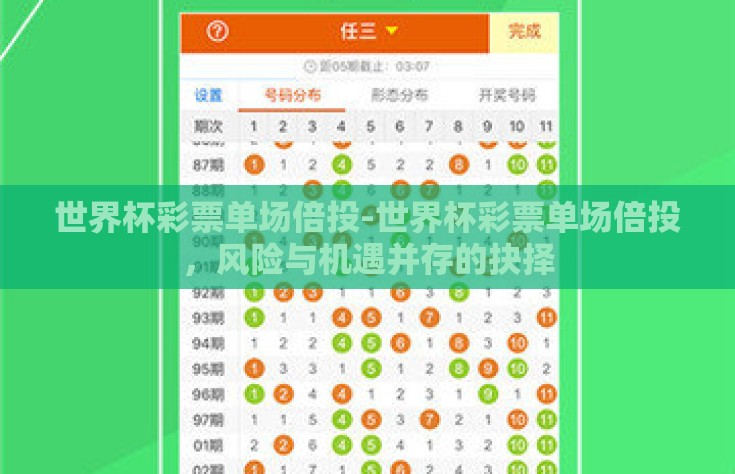 世界杯彩票单场倍投-世界杯彩票单场倍投，风险与机遇并存的抉择