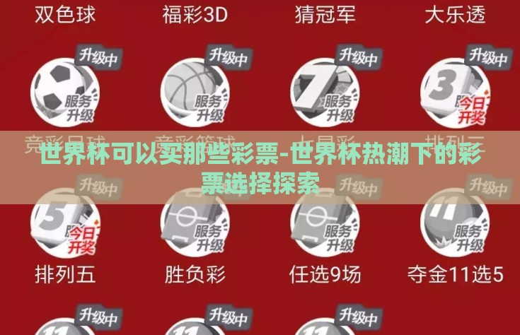 世界杯可以买那些彩票-世界杯热潮下的彩票选择探索