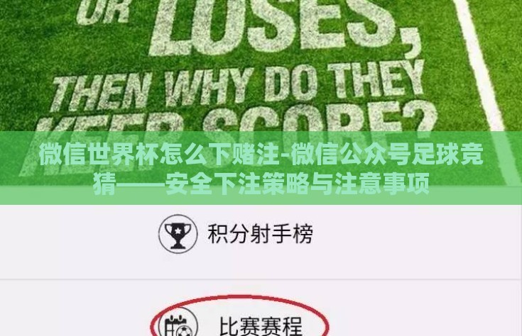 微信世界杯怎么下赌注-微信公众号足球竞猜——安全下注策略与注意事项
