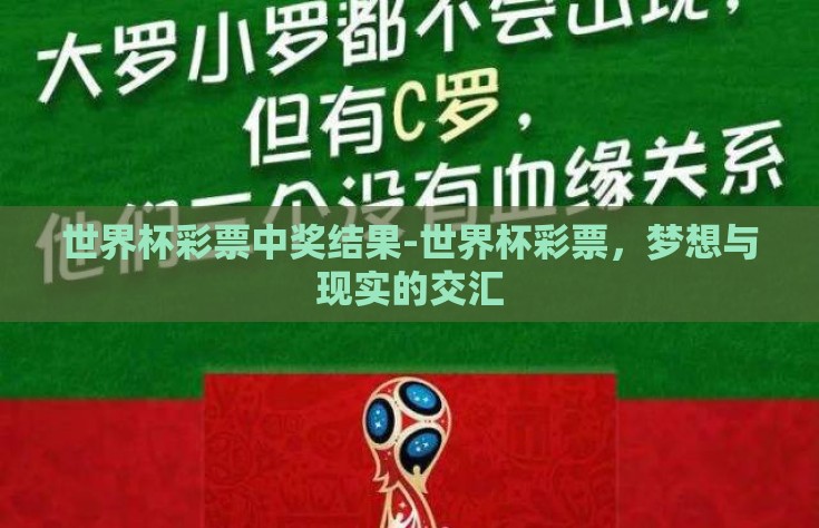 世界杯彩票中奖结果-世界杯彩票，梦想与现实的交汇