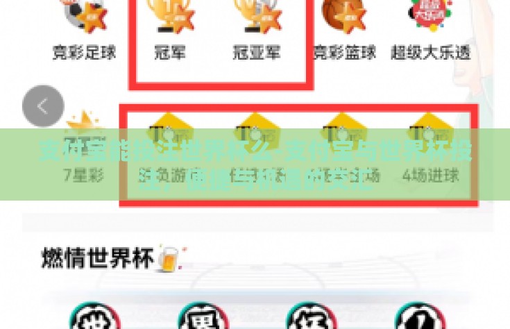 支付宝能投注世界杯么-支付宝与世界杯投注，便捷与机遇的交汇