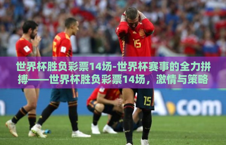 世界杯胜负彩票14场-世界杯赛事的全力拼搏——世界杯胜负彩票14场，激情与策略并存