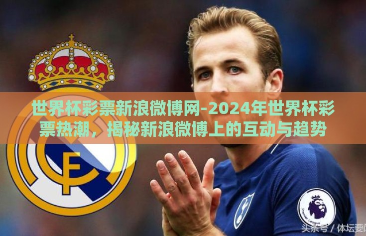 世界杯彩票新浪微博网-2024年世界杯彩票热潮，揭秘新浪微博上的互动与趋势