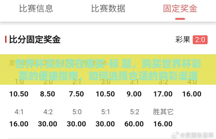 世界杯买彩票在哪买-标 题，购买世界杯彩票的便捷指南，如何选择合适的购彩渠道与注意事项