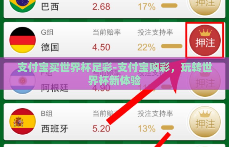 支付宝买世界杯足彩-支付宝购彩，玩转世界杯新体验