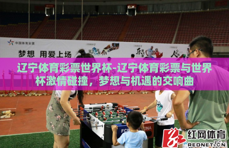 辽宁体育彩票世界杯-辽宁体育彩票与世界杯激情碰撞，梦想与机遇的交响曲