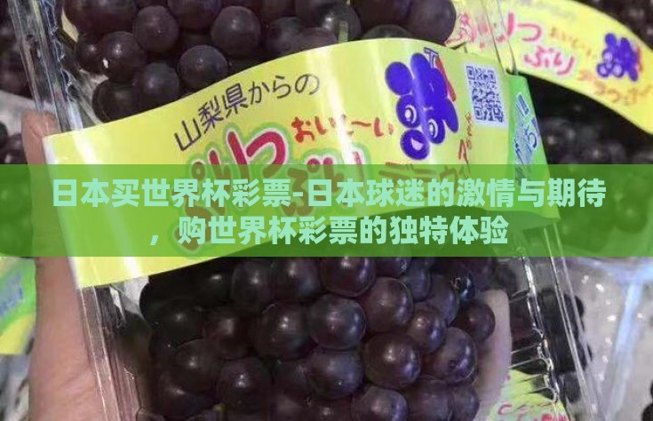 日本买世界杯彩票-日本球迷的激情与期待，购世界杯彩票的独特体验