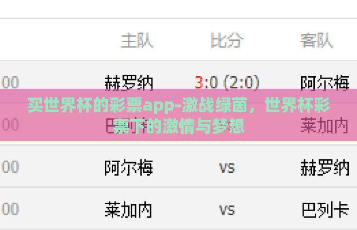 买世界杯的彩票app-激战绿茵，世界杯彩票下的激情与梦想