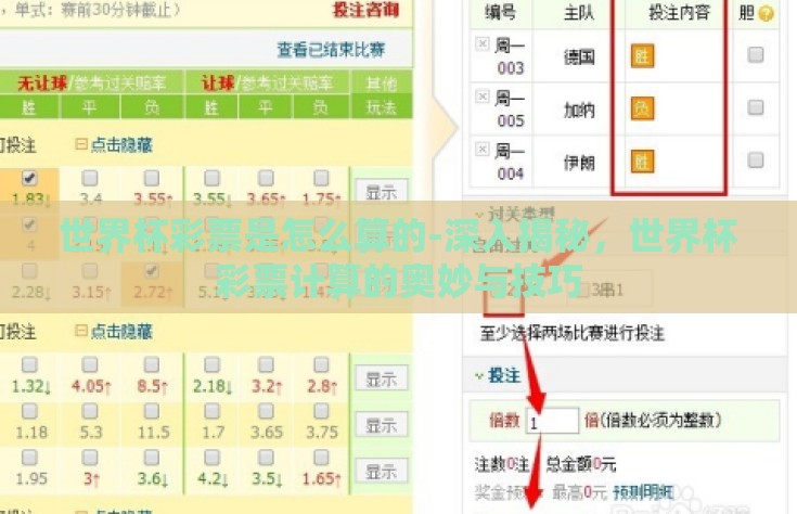世界杯彩票是怎么算的-深入揭秘，世界杯彩票计算的奥妙与技巧